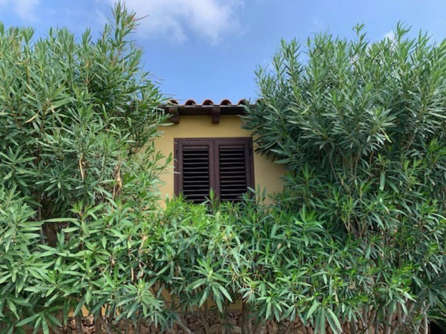 Villa Maveda, Un Dammuso Immerso Nel Verde Lampedusa Exteriér fotografie