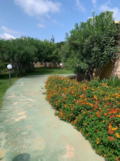 Villa Maveda, Un Dammuso Immerso Nel Verde Lampedusa Exteriér fotografie