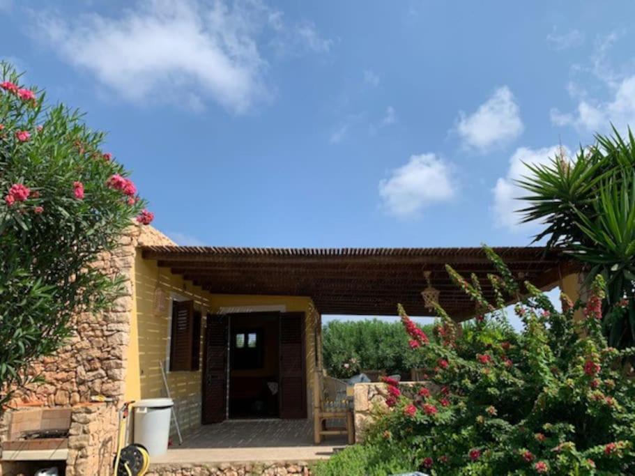 Villa Maveda, Un Dammuso Immerso Nel Verde Lampedusa Exteriér fotografie